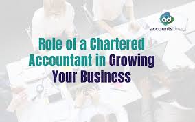 The Role of a Chartered Accountant in ...