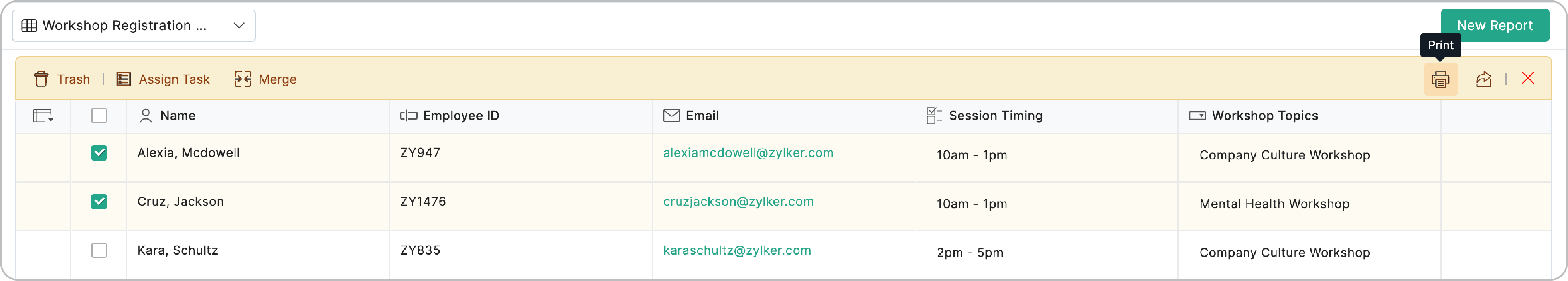 Print report entries