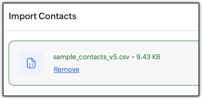 Showing the Remove option present beneath the uploaded file.