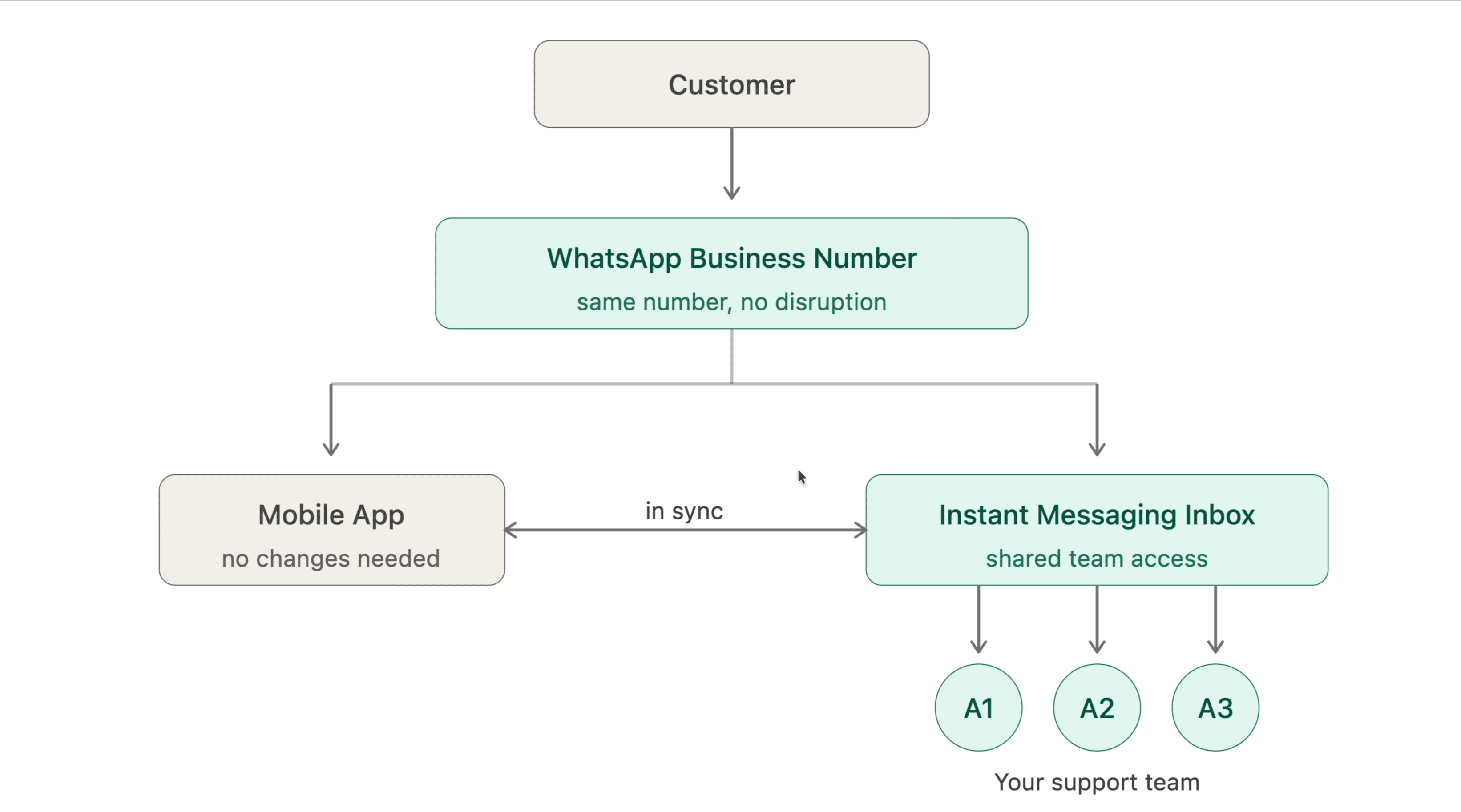 WhatsApp Co-Existence overview