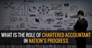 The Role of Chartered Accountant in ...